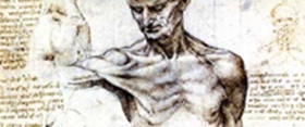 anatomylogo4